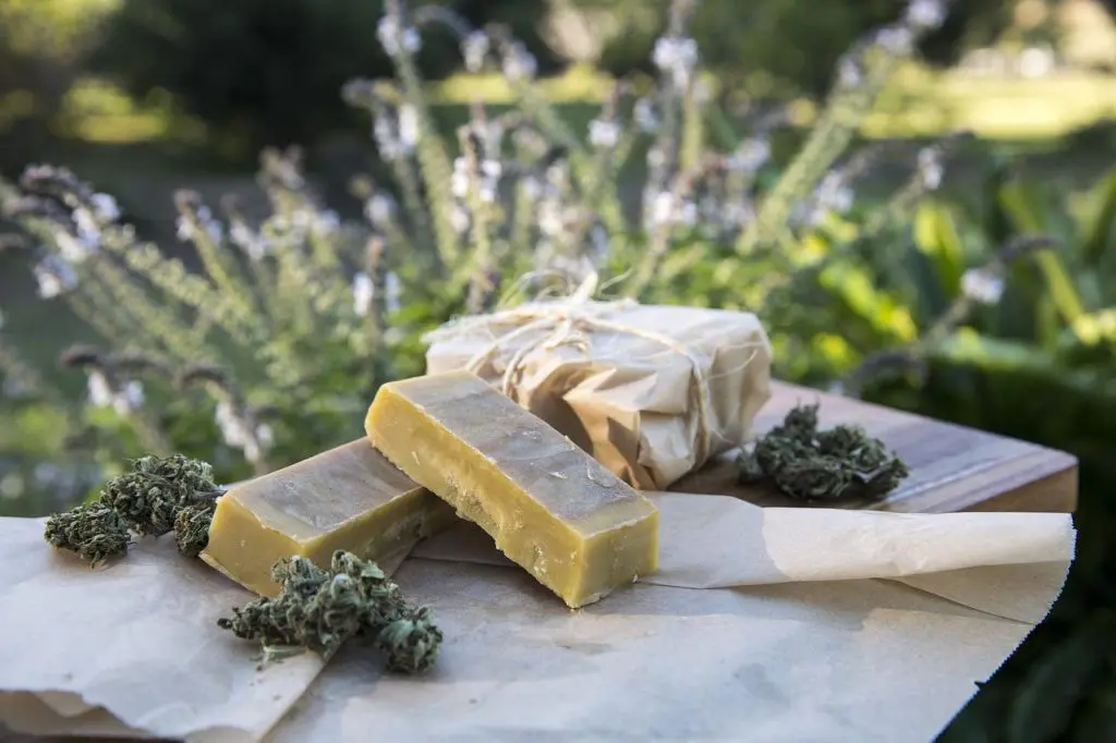 Des plats à base de cannabis