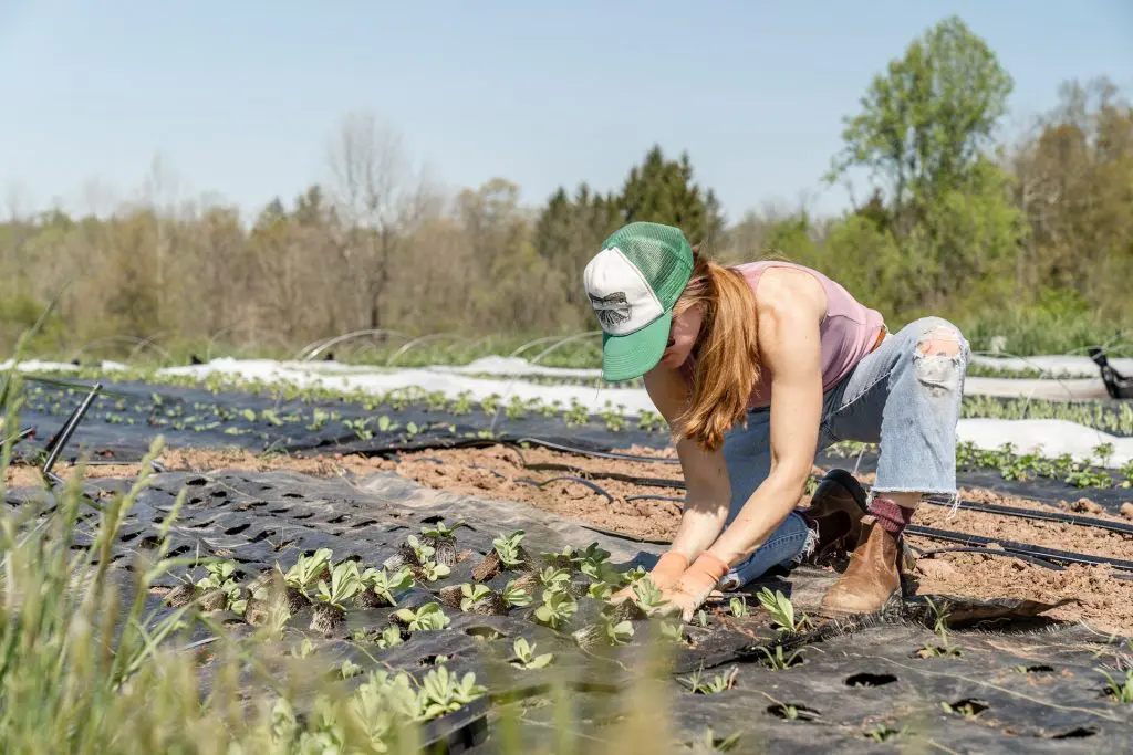 Le prix élevé des produits bio