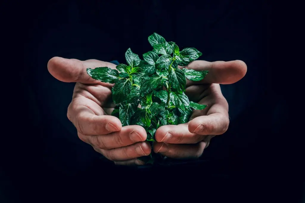 Concilier écologie et justice sociale