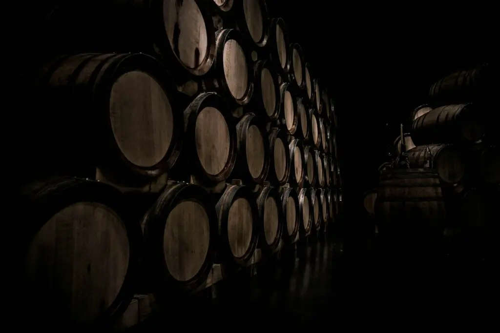 Le plus vieux vin au monde