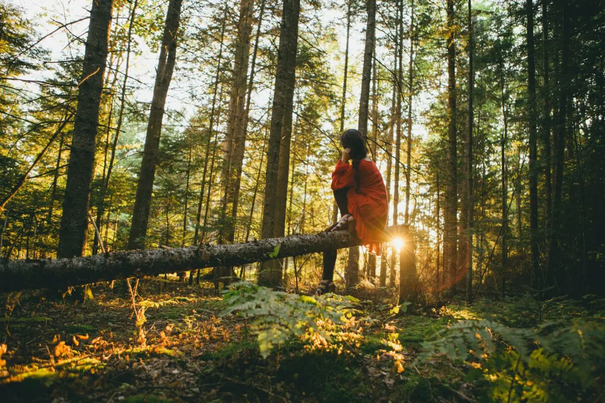 Le droit de l'environnement