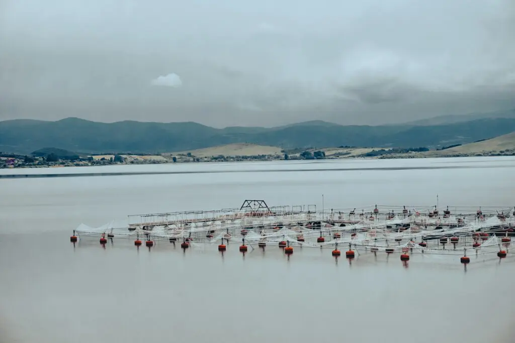 L'aquaculture sur l'environnement