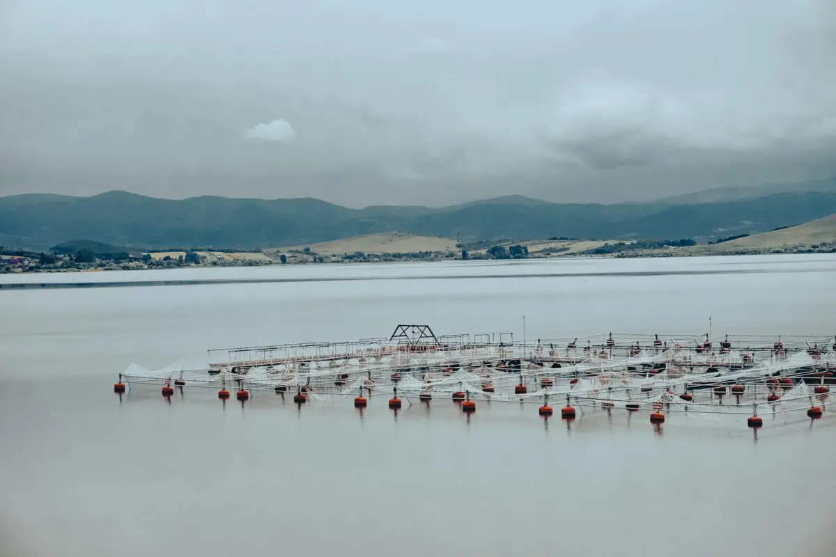 L'aquaculture sur l'environnement