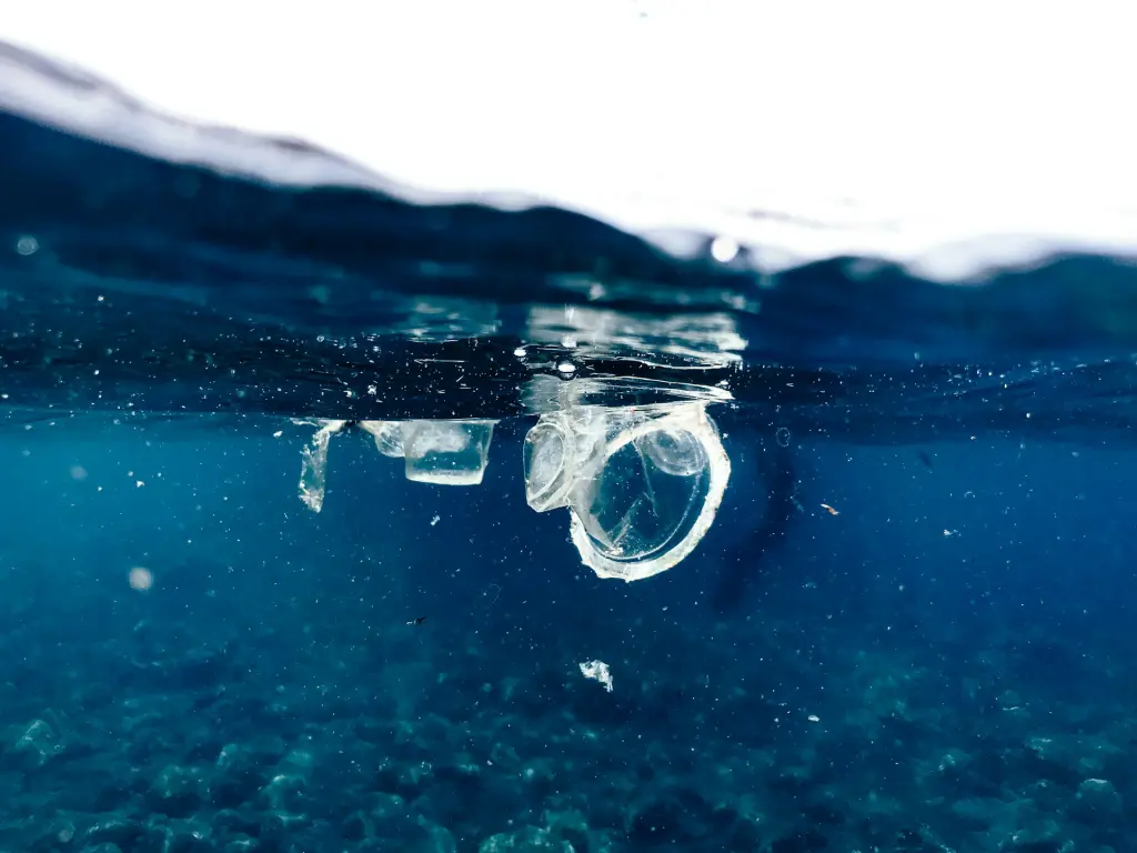 Le traitement des eaux usées