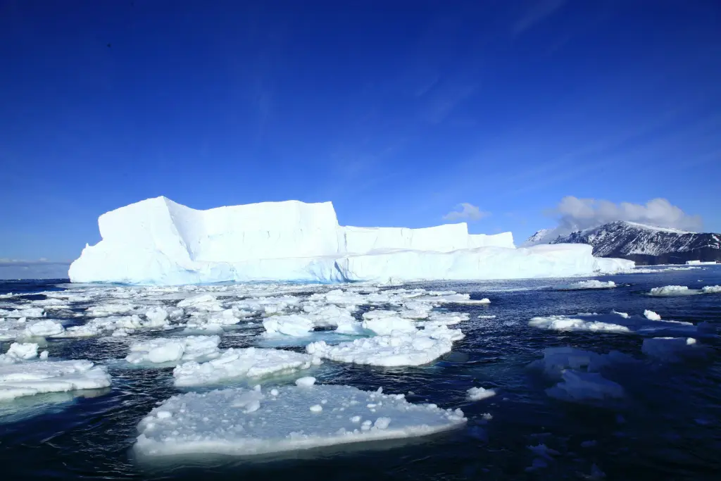 La cause de la fonte des glaciers