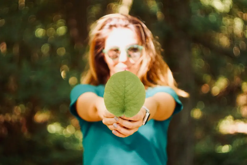 Les champions de l'environnement