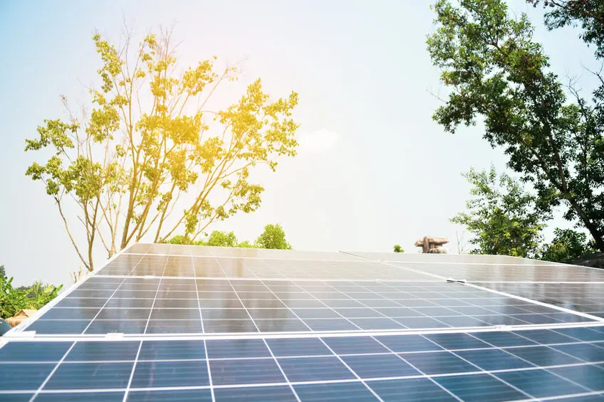 panneaux solaires sur un toit ensoleillé avec arbres en arrière-plan