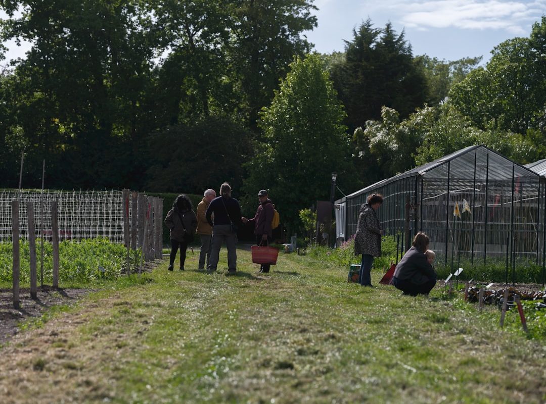 People working and gathering in a community garden with greenhouses
