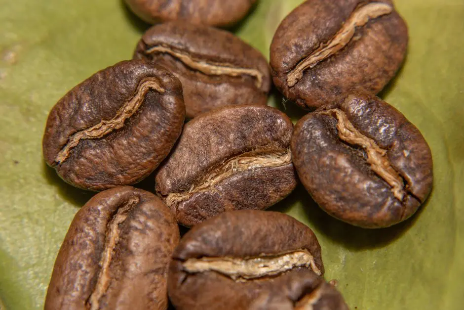 Detailed view of roasted coffee beans from Colombia on a green leaf.